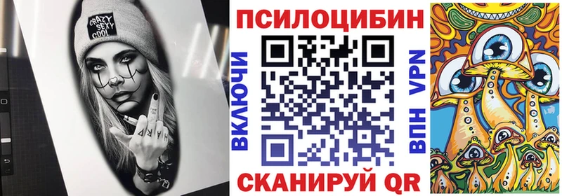 Галлюциногенные грибы Cubensis  мега tor  Таштагол 